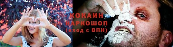 ПСИЛОЦИБИНОВЫЕ ГРИБЫ Приозерск
