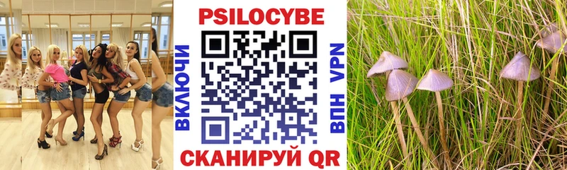 Купить  Рассказово  Галлюциногенные грибы прущие грибы 